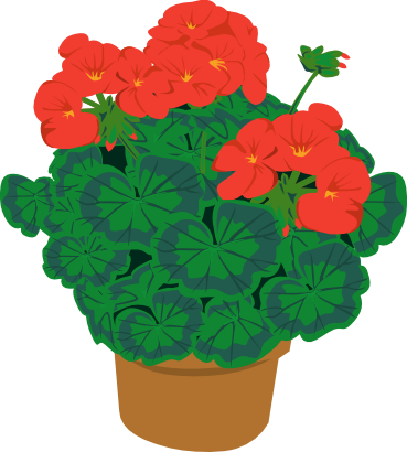Download free red flower icon